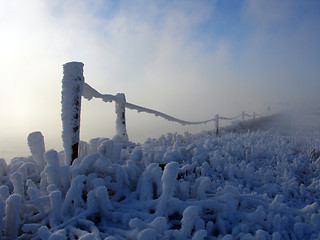 Image showing winter