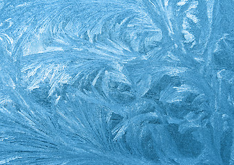 Image showing Frozen window