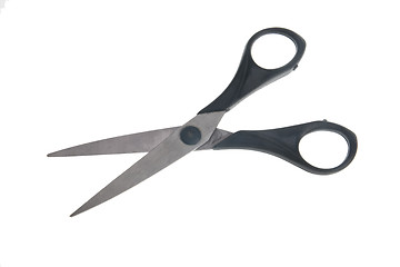 Image showing Scissors