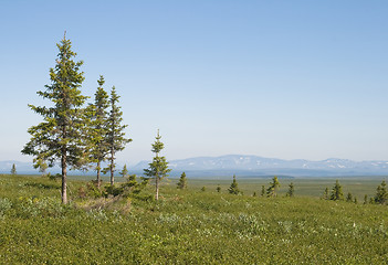 Image showing Green northern valley