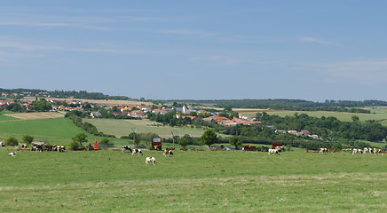 Image showing Typical french countryside landscape - Lorraine