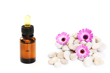 Image showing aromatherapy oil