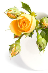 Image showing yellow flowers bouquet