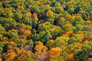 Image showing New England Fall Foliage