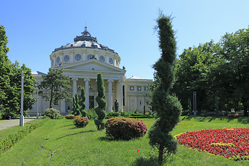 Image showing The Romanian Athenaeum in Bucahrest