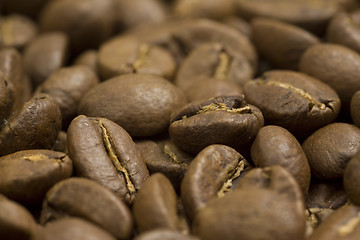 Image showing coffee beans