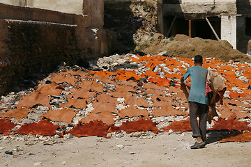 Image showing Guy laying out raw freshly colored animal skins for drying. Tann