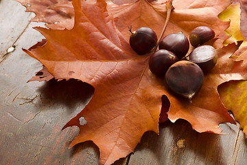 Image showing Autumn Leaves and Chestnuts