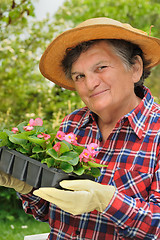 Image showing Senior woman - gardening