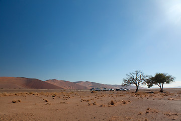 Image showing red dunes of sossusvlei