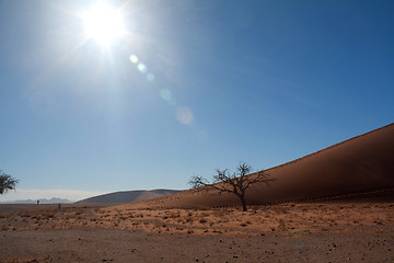 Image showing red dunes of sossusvlei