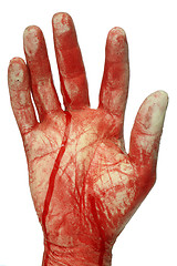 Image showing Bloody hand