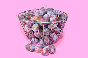 Image showing Fresh plums