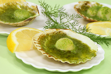 Image showing Scallop shell