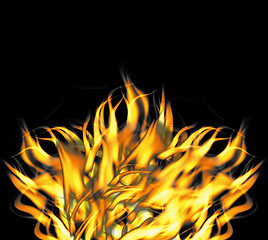 Image showing Fierce Raging Fire Flames