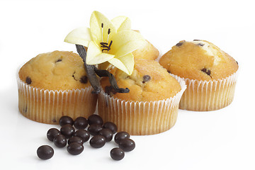 Image showing Chocolate muffins