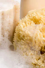 Image showing soap, natural sponge and foam
