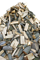 Image showing Fuelwood