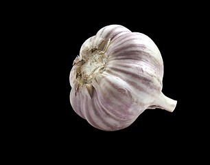 Image showing garlic