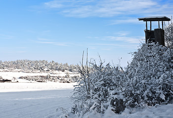 Image showing Hide in Winter