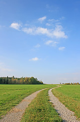 Image showing Rural Way