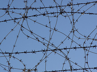 Image showing Barbed Wires