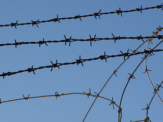 Image showing Barbed Wires