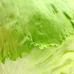 Image showing Salad