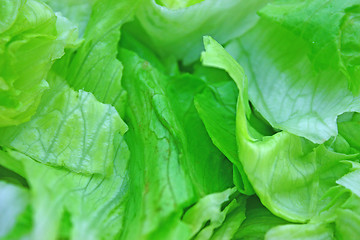 Image showing Salad