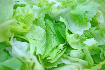 Image showing Salad