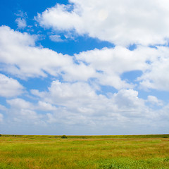 Image showing Landschaft