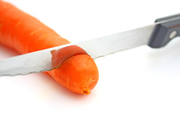 Image showing Carrots