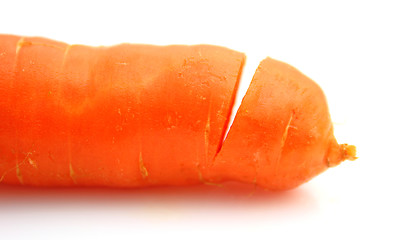 Image showing Carrots