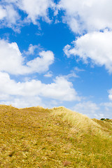 Image showing Dunes