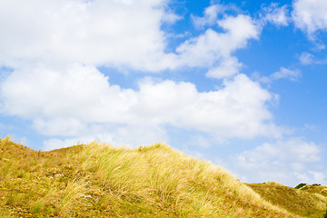 Image showing Dunes