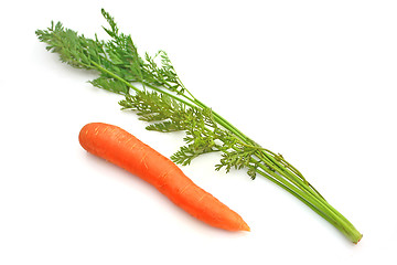 Image showing Carrots