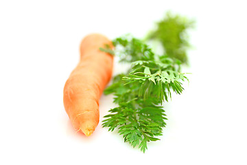 Image showing Carrots