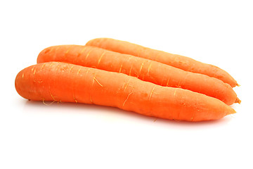 Image showing Carrots