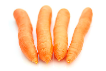 Image showing Carrots