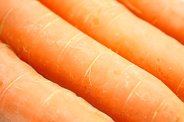 Image showing Carrots