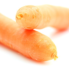 Image showing Carrots