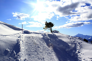 Image showing Winter