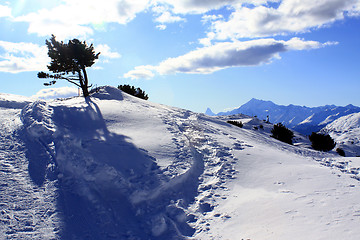 Image showing Winter