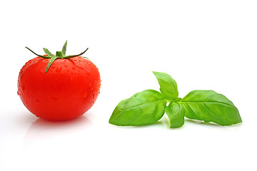 Image showing Tomato basil