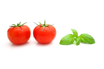Image showing Tomato basil