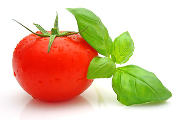 Image showing Tomato basil
