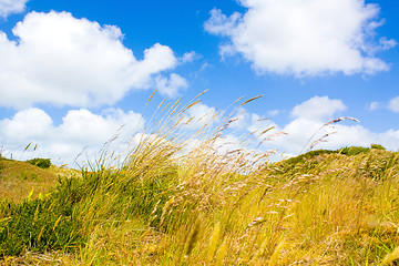 Image showing Dunes