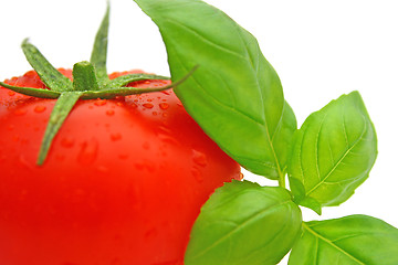 Image showing Tomato basil