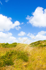 Image showing Dunes