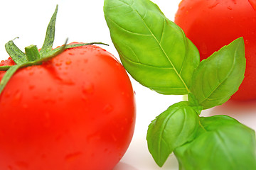 Image showing Tomato basil